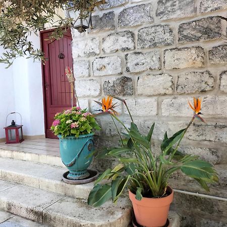 Charmant Appart Avec Jardin Aigues-Mortes Zewnętrze zdjęcie
