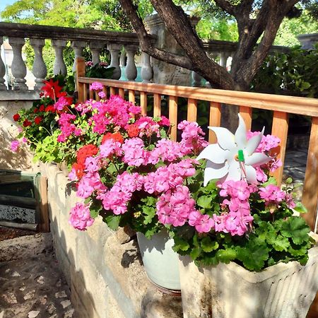 Charmant Appart Avec Jardin Aigues-Mortes Zewnętrze zdjęcie