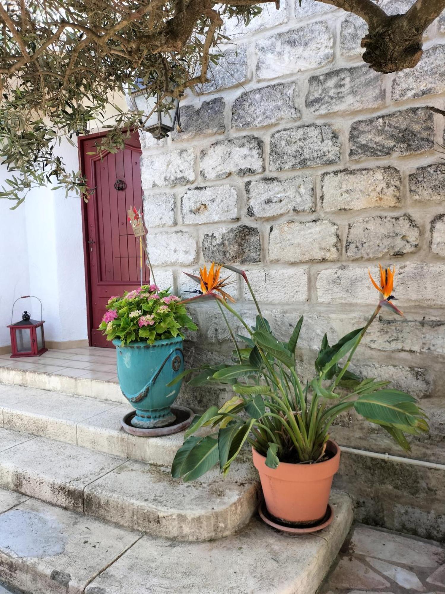 Charmant Appart Avec Jardin Aigues-Mortes Zewnętrze zdjęcie